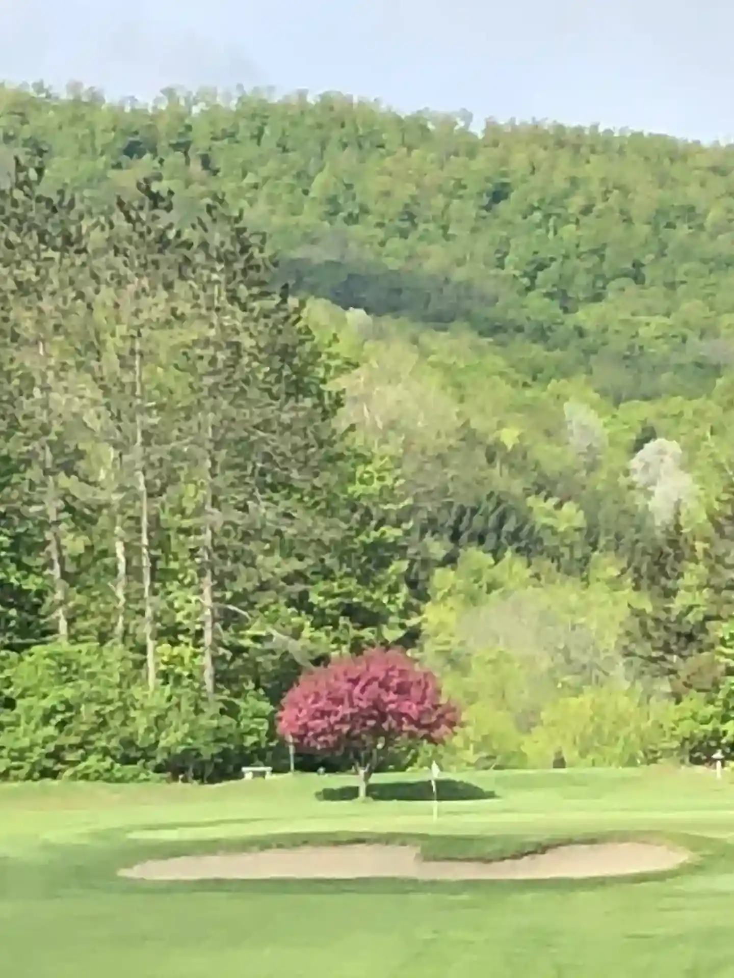 northfield country club 16